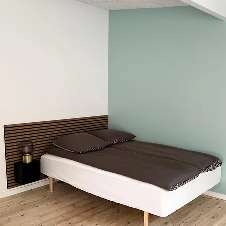 Charmerende Bolig Naer Domkirken * 里伯