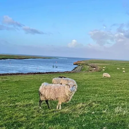 Charmerende Bolig Naer Domkirken Ribe