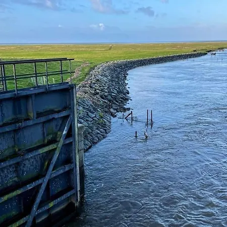 Charmerende Bolig Naer Domkirken