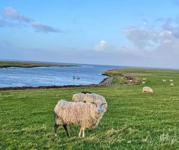Charmerende Bolig Naer Domkirken Ribe