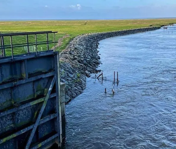 Charmerende Bolig Naer Domkirken
