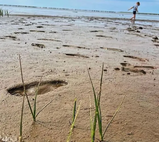 Charmerende Bolig Naer Domkirken Daire
